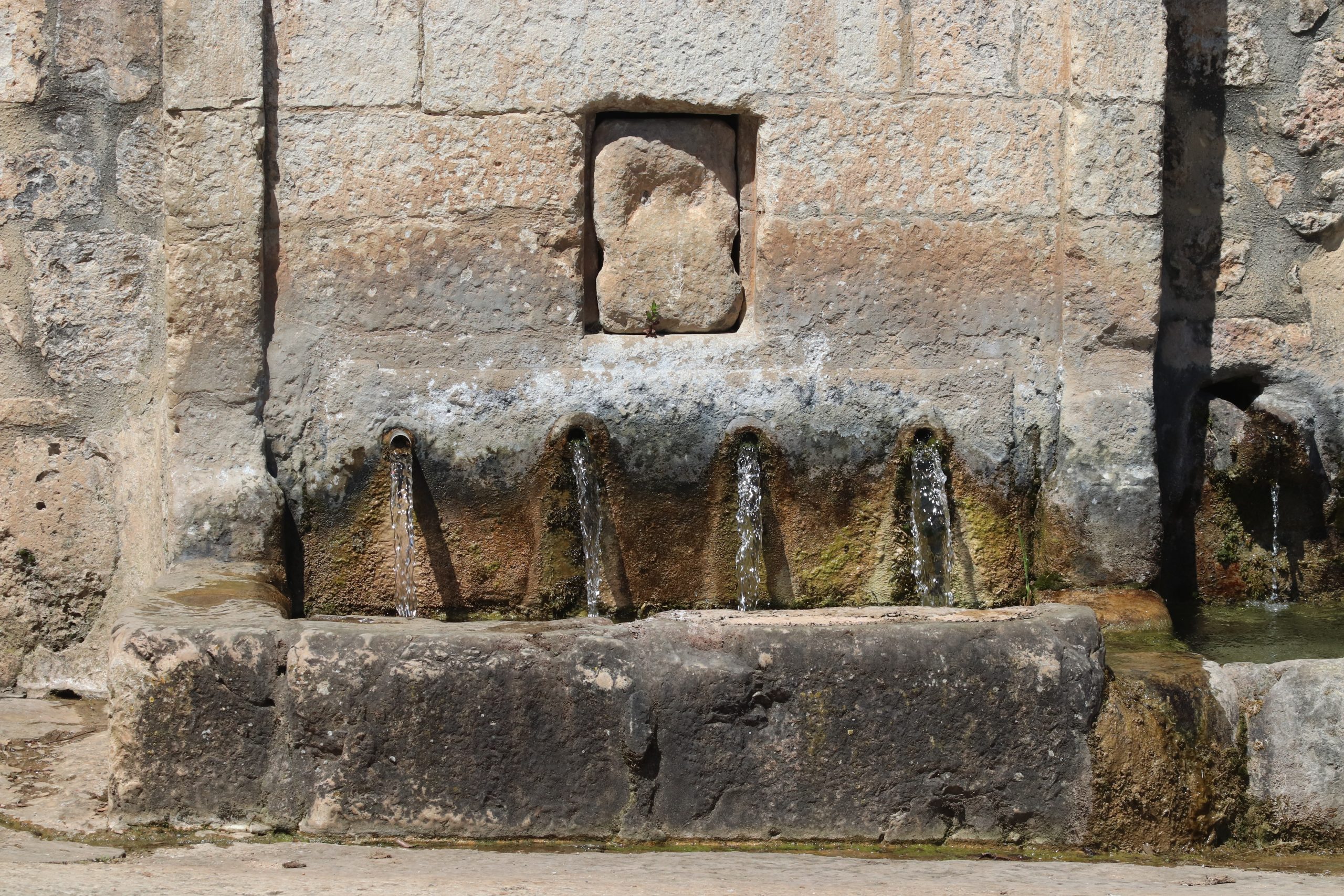 Orbiso 5