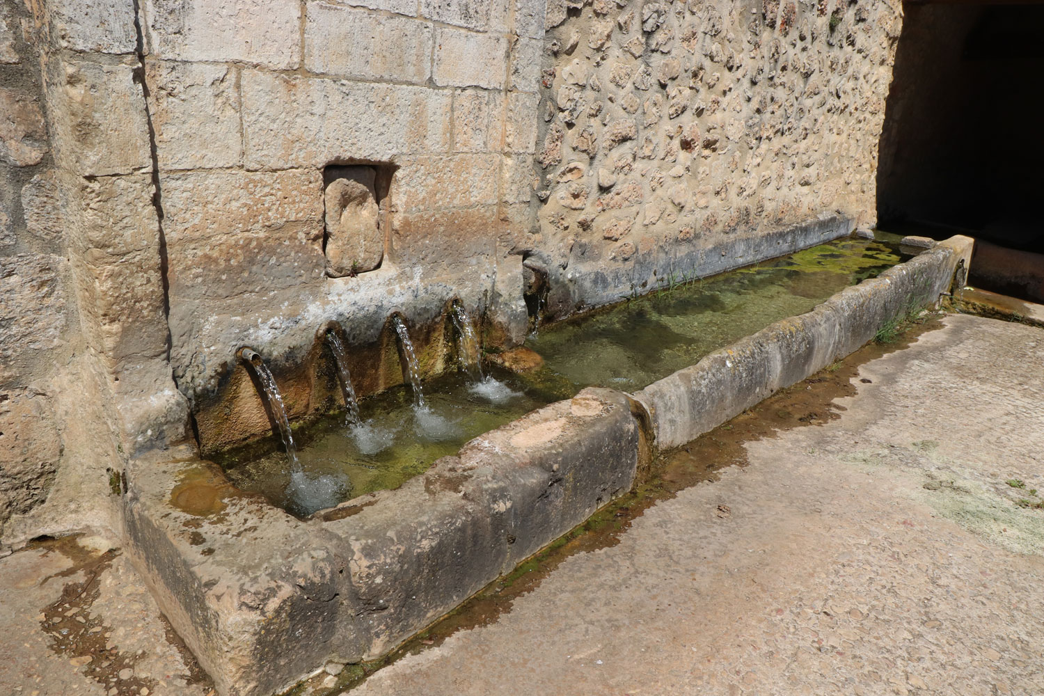 Orbiso 6